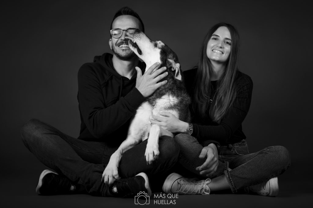 retratos con mascotas valencia