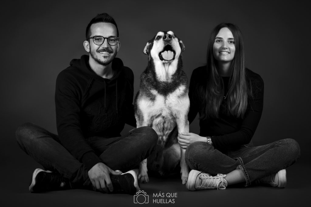 retratos con mascotas valencia